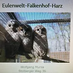 Apartment Mountain View