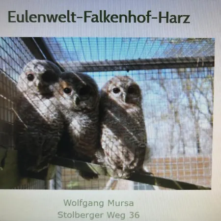 Apartman Mountain View