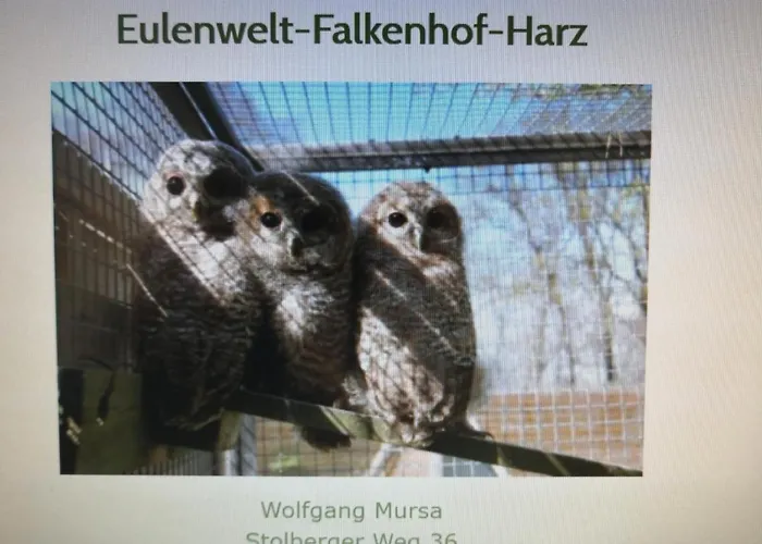 Lägenhet Mountain View